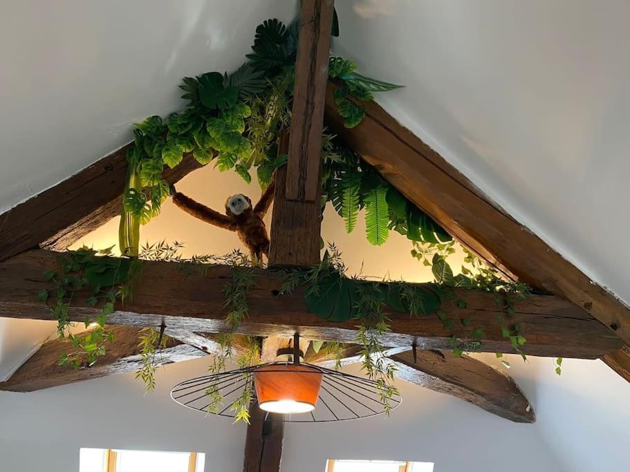 Sous Les Tropiques D'Ablis Apartment Bagian luar foto